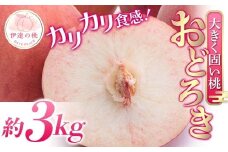 【2026年出荷分先行予約】福島県産 おどろき 約3kg (7～12玉) 農業生産法人種まきうさぎ株式会社 固め 固い 伊達市の桃 桃 フルーツ 果物 もも モモ momo F20C-499