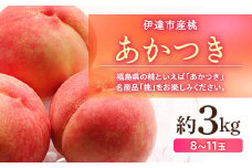福島県産 あかつき 約3kg 2025年7月下旬～2025年8月上旬発送 2025年出荷分 先行予約 予約 伊達の桃 桃 もも モモ 果物 くだもの フルーツ 名産品 国産 食品 F20C-500