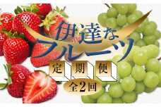 ＜2025年春から開始の定期便＞伊達なフルーツ定期便（いちご・ぶどう）果物 フルーツ 苺 イチゴ 葡萄 ブドウ 福島県 伊達市 F20C-511