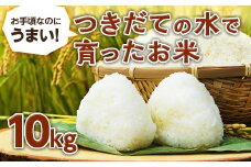 【先行予約】 お手頃なのにうまい！つきだての水で育ったお米（10kg） F20C-514