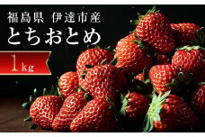 ＜2026年発送＞伊達市霊山で採れるいちご「とちおとめ」1kg （250g×4パック） イチゴ 苺 F20C-532