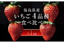 ＜2026年発送＞完熟 いちご 贅沢食べ比べ 4品種セット（1箱） とちおとめ ふくはる香 紅ほっぺ  おいCベリー イチゴ 苺 いちご F20C-533