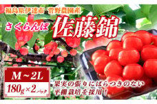 【菅野農園FruitsProvider】さくらんぼ（佐藤錦：M-2L玉）180g×2パック F20C-526
