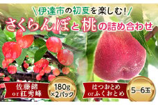 福島県産 さくらんぼと桃の詰め合わせ さくらんぼ 180g×2パック 桃 5～6玉 2025年6月中旬～2025年6月下旬発送 2025年出荷分 先行予約 予約 セット 詰合せ 佐藤錦 紅秀峰 伊達の桃 はつおとめ ふくおとめ もも モモ 果物 くだもの フルーツ 国産 食品 F20C-542