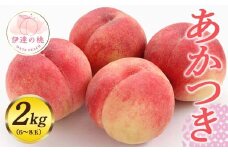 福島県産 あかつき 約2kg 2025年7月下旬～2025年8月上旬発送 先行予約 予約 伊達の桃 桃 もも モモ 果物 くだもの フルーツ 名産品 国産 食品 F20C-546