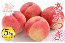 福島県産 あかつき 約5kg 2025年7月下旬～2025年8月上旬発送 先行予約 予約 伊達の桃 桃 もも モモ 果物 くだもの フルーツ 国産 食品 F20C-548
