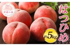 【2026年出荷分先行予約】福島県産 はつひめ 約5kg (13～18玉) 佐藤俊博 福島県オリジナル品種 伊達の桃 桃 フルーツ 果物 もも モモ momo F20C-551