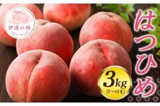 福島県オリジナル品種 福島県産 はつひめ 約3kg 2025年7月上旬～2025年7月中旬発送 先行予約 予約 伊達の桃 桃 もも モモ 果物 くだもの フルーツ 国産 食品 F20C-550