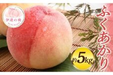 【2026年出荷分先行予約】福島県産 ふくあかり 約5kg (13～18玉) 佐藤俊博 福島県オリジナル品種 伊達の桃 桃 フルーツ 果物 もも モモ momo F20C-554