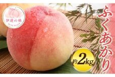 【2026年出荷分先行予約】福島県産 ふくあかり 約2kg (6～8玉) 佐藤俊博 福島県オリジナル品種 伊達の桃 桃 フルーツ 果物 もも モモ momo F20C-552