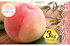 福島県産 ふくあかり 約3kg 2025年7月下旬～2025年8月上旬発送 先行予約 予約 伊達の桃 桃 もも モモ 果物 くだもの フルーツ 国産 食品 F20C-553