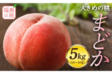 福島県産 まどか 5kg 2024年8月中旬～2024年8月下旬発送 先行予約 予約 大玉 固め 伊達の桃 桃 もも モモ 果物 くだもの フルーツ 国産 食品 F20C-557