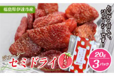 セミドライいちご 20g 3パック入り F20C-534