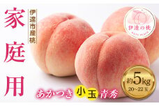 2025年出荷分 《先行予約》 家庭用 福島県産 あかつき 小玉 青秀 約5kg 2025年7月下旬～2025年8月上旬発送 先行予約 予約 不揃い 伊達の桃 桃 もも モモ 果物 くだもの フルーツ 名産品 国産 食品 F20C-585