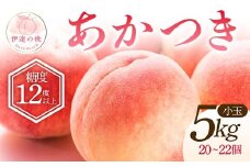 2025年出荷分 《先行予約》 糖度12度以上 福島県産 あかつき 小玉 約5kg 特秀 透過式光センサー選別 2025年7月下旬～2025年8月上旬発送 先行予約 予約 伊達の桃 桃 もも モモ 果物 くだもの フルーツ 名産品 国産 食品 F20C-586