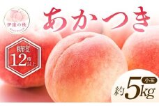 【2026年出荷分先行予約】福島県産 特秀 あかつき 約5kg (20～22玉) ふくしま未来農業協同組合 特秀 小玉 透過式光センサー選別 糖度12度以上 伊達の桃 桃 フルーツ 果物 もも モモ momo F20C-586