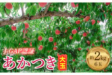 JGAP認証 福島県産 あかつき 大玉 約2kg 2025年7月下旬～2025年8月上旬発送 2025年出荷分 先行予約 予約 伊達の桃 桃 もも モモ 果物 くだもの フルーツ 名産品 国産 食品 F20C-587