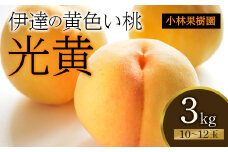 福島県産 光黄 3kg 2025年8月上旬～2025年8月下旬発送 2025年出荷分 先行予約 予約 大玉 黄桃 伊達の桃 桃 もも モモ 果物 くだもの フルーツ 国産 食品 F20C-589