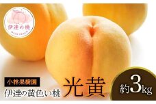 【2026年出荷分先行予約】福島県産 光黄 約3kg (10～12玉) 小林果樹園 大玉 黄桃 伊達の桃 桃 フルーツ 果物 もも モモ momo F20C-589