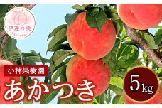 福島県産 あかつき 5kg 2025年7月下旬～2025年8月上旬発送 2025年出荷分 先行予約 予約 伊達の桃 桃 もも モモ 果物 くだもの フルーツ 名産品 国産 食品 F20C-591
