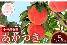 【2026年出荷分先行予約】福島県産 あかつき 約5kg (14～20玉) 小林果樹園 伊達の桃 桃 フルーツ 果物 もも モモ momo F20C-591
