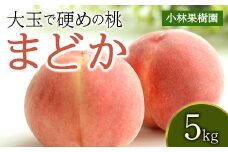 福島県産 まどか 5kg 2025年8月上旬～2025年8月中旬発送 2025年出荷分 先行予約 予約 大玉 固め 伊達の桃 桃 もも モモ 果物 くだもの フルーツ 国産 食品 F20C-592