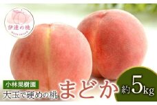 【2026年出荷分先行予約】福島県産 まどか 約5kg (14~20玉) 小林果樹園 大玉 固め 伊達の桃 桃 フルーツ 果物 もも モモ momo F20C-592