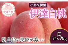 【2026年出荷分先行予約】福島県産 伊達白桃 約5kg (14～20玉) 小林果樹園 伊達の桃 桃 フルーツ 果物 もも モモ momo F20C-593