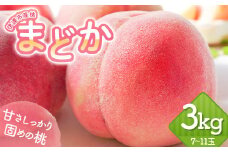 福島県産 まどか 3kg 2025年7月下旬～2025年8月中旬発送 2025年出荷分 先行予約 予約 大玉 固め 伊達の桃 桃 もも モモ 果物 くだもの フルーツ 国産 食品 F20C-602