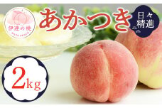 福島県産 あかつき 2kg 2025年7月下旬～2025年8月中旬発送 2025年出荷分 先行予約 予約 伊達の桃 桃 もも モモ 果物 くだもの フルーツ 名産品 国産 食品 F20C-608