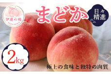 福島県産 まどか 2kg 2025年8月上旬～2025年8月中旬発送 2025年出荷分 先行予約 予約 大玉 固め 伊達の桃 桃 もも モモ 果物 くだもの フルーツ 国産 食品 F20C-609