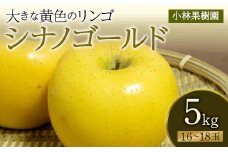 【小林果樹園】黄色いりんご シナノゴールド 5kg（16～18玉） F20C-594