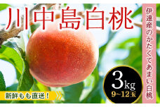 福島県産【新鮮もも直送】 川中島白桃 3kg 2025年8月中旬～2025年8月下旬発送 2025年出荷分 先行予約 予約 白桃 大玉 伊達の桃 桃 もも モモ 果物 くだもの フルーツ 国産 食品 F20C-606
