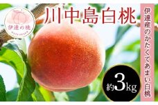 【2026年出荷分先行予約】福島県産 川中島白桃 約3㎏ (9～12玉) 斎藤 常昭 新鮮もも直送 白桃 大玉 伊達の桃 桃 フルーツ 果物 もも モモ momo F20C-606