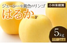 【小林果樹園】黄色いりんご はるか 5kg（16～18玉） F20C-595