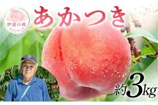 【2026年出荷分先行予約】福島県産 あかつき 約3㎏ (9～12玉) 斎藤 常昭 新鮮もも直送 伊達の桃 桃 フルーツ 果物 もも モモ momo F20C-607