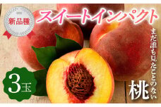 新品種の桃 福島県産 伊達市で開発 スイートインパクト 3玉 新品種 2025年9月中旬発送 2025年出荷分 先行予約 予約 限定 伊達の桃 桃 もも モモ 果物 くだもの フルーツ 国産 食品 F20C-610