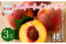 【2026年出荷分先行予約】福島県産 スイートインパクト (3玉) 高橋もも園 新品種 伊達市で開発 限定 伊達の桃 桃 フルーツ 果物 もも モモ momo F20C-610