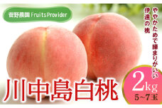 福島県産 川中島白桃 2kg 2025年8月中旬～2025年8月下旬発送 2025年出荷分 先行予約 予約 白桃 大玉 伊達の桃 桃 もも モモ 果物 くだもの フルーツ 国産 食品 F20C-605