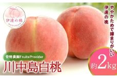 【2026年出荷分先行予約】福島県産 川中島白桃 約2kg (5～7玉) 菅野農園FruitsProvider 白桃 大玉 伊達の桃 桃 フルーツ 果物 もも モモ momo F20C-605