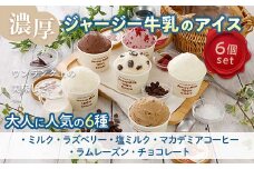 【ジャージー牛乳使用】まきばのジャージーアイス人気の大人セット6個入り F21C-034
