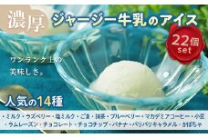 【ジャージー牛乳使用】まきばのジャージーアイス人気の14種22個セット F21C-037
