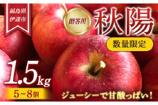 【数量限定】りんご 贈答用 秋陽（しゅうよう）1.5kg（5〜8個） リンゴ 林檎 フルーツ 果物 F20C-621