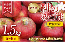 【数量限定】りんご 贈答用 緋のあづま 1.5kg（5〜9個） リンゴ 林檎 フルーツ 果物 F20C-622