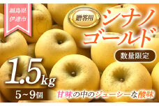 【数量限定】りんご 贈答用 シナノゴールド1.5kg（5～9個） リンゴ 林檎 フルーツ 果物 F20C-625