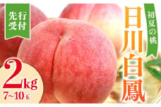 福島県産 日川白鳳 2kg 2025年7月上旬～2025年7月中旬発送 2025年出荷分 先行予約 予約 伊達の桃 小玉 桃 もも モモ 果物 くだもの フルーツ 国産 食品 F21C-023