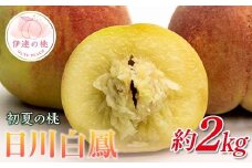 【2026年出荷分先行予約】福島県産 日川白鳳 約2kg (7～10玉) 斎藤果樹園 小桃 伊達の桃 桃 フルーツ 果物 もも モモ momo F21C-023