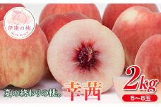 福島県産 幸茜 2kg 2025年8月中旬～2025年9月中旬発送 2025年出荷分 先行予約 予約 さちあかね 伊達の桃 大玉 固め 桃 もも モモ 果物 くだもの フルーツ 国産 食品  F20C-635