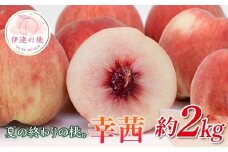 【2026年出荷分先行予約】福島県産 幸茜 約2㎏ (5～8玉) 斎藤果樹園 さちあかね 大玉 固め 伊達の桃 桃 フルーツ 果物 もも モモ momo F20C-635
