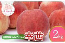福島県産 幸茜 2kg 2025年8月中旬～2025年9月中旬発送 2025年出荷分 先行予約 予約 さちあかね 伊達の桃 大玉 固め 桃 もも モモ 果物 くだもの フルーツ 国産 食品 F20C-638